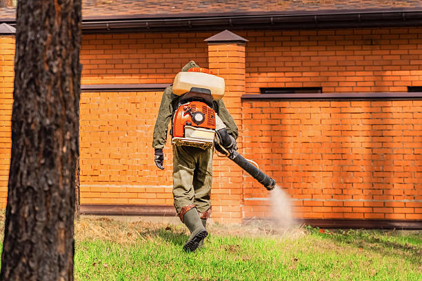 Trusted Cockroach Control service in Southmont, PA - Nex Pest Control
